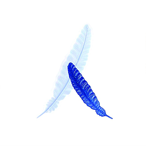 FEATHER 1