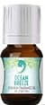 Essential OCHN-min